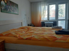 Garsonka Ostrava, Ostrava